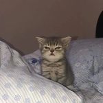 Alan Bednarz - @bednasz.pv - Instagram