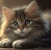 Alan Bednarz - Facebook