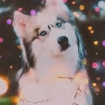 Alan Bedoya - @alan.bedoya.581 - Instagram