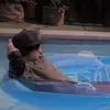 alanbehar - @alanbehar - TikTok