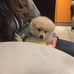 Alan Bejar - Facebook
