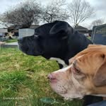 Alan bella chase - @alanbellachase - Instagram