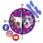 Kat, Alan, Bella 🐶🌈 and Winston 🐶 - @van_staffie_adventures - Instagram