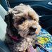 Alan Bellamy - Facebook