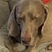 Alan Belton - Facebook