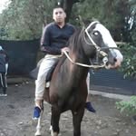 alan benavidez - @el_overo_ - Instagram