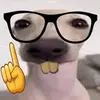 Alan Benavidez - @alan.benavidez1 - TikTok