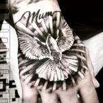 Alan Bendall - @alan.bendall - Instagram