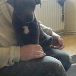 Alan Bendall - @bendallalan - Instagram