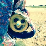 Alan Bendall - @alanbendall - Instagram