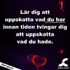 Allan Bengtsson - @allan.bengtsson - TikTok