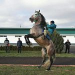 @alan_beno_ - Instagram