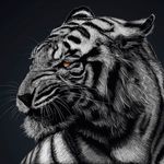 Alan Benoit - @alan.benoit.754 - Instagram