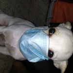 Alan manuel garcia benoit - @benoitalanmanuelgarcia - Instagram