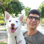 Alan Bento / adestrador comportamentalista - @alanbento.adestra - Instagram