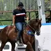 Alan Bento - @alan.bento3 - TikTok