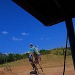 Alan Bergamini - @bergaminialan - Instagram