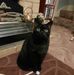 Alan Bergman - Facebook