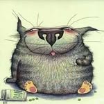 Alan Berk - @alanberk1971 - Instagram