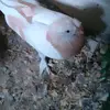 Berk - @yiit.berk.alan - TikTok