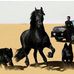 Alan Berkov - Facebook