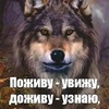 Alan Berkov - @alanberkov1 - TikTok