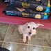 Alan Berton - Facebook