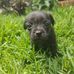 Alan Bernal - Facebook