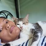 Allan Bernales - @allan.bernales - Instagram