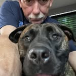 Alan Bernardara - @abernardara - Instagram