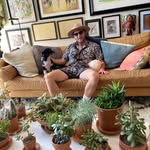 ALPACA - @alan_bernstein - Instagram