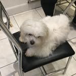 Alan Berrington - @alan.berrington37 - Instagram