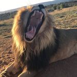 Alan Beveridge - @alanbeveridge98 - Instagram