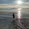 Alan Beveridge - @alan.beveridge4 - TikTok
