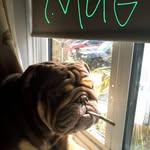Alan Birch - @o.d.berty - Instagram