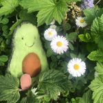 Alan Birch - @alans.adventures_ - Instagram