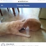 Alan Birch - @alanbirch459 - Instagram