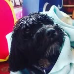 alan blackman - @a.j.blackman - Instagram