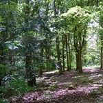 Alan Blake - @alan.blake.790 - Instagram