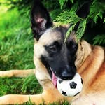 alan blakemore - @aaj7219 - Instagram