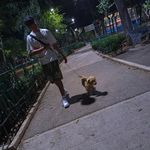𝑨𝒍𝒂𝒏_𝑩𝒍𝒊𝒏𝒅𝒆𝒓𝒔 - @alan_blinders_ - Instagram