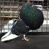 alan bloch - @alan.bloch4 - TikTok