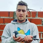 Alan Bloch - @blochalan - Instagram