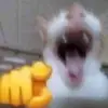 elanblohm - @c0ldrqmen - TikTok