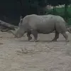 Alan Bossman - @alan.bossman4 - TikTok