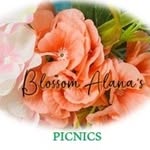 Blossom Alana - @blossomalanaspicnics_ - Instagram