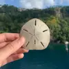 Alana Blumberg - @alana.blumberg - TikTok