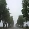 alanbunk123 - @alanbunk123 - TikTok