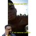 Alan Boas - Facebook