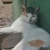 Alan Boch - @alan.boch7 - TikTok